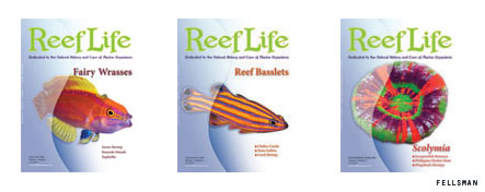 ReefLife Magazine